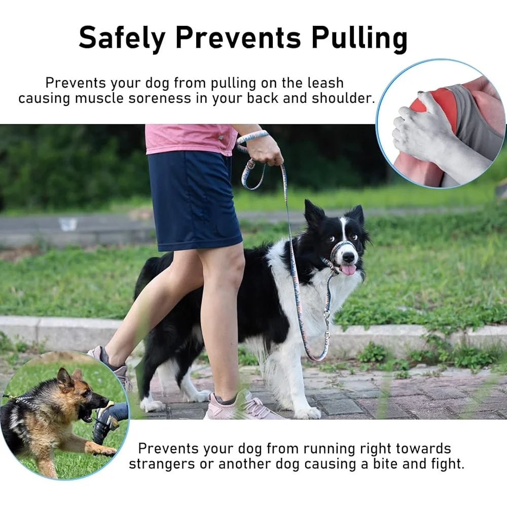 Dog Head Collar Anti-Pulling Halter with Leash Adjustable Snout Harness Large Medium Small Dogs Safe and Durable Training Tool